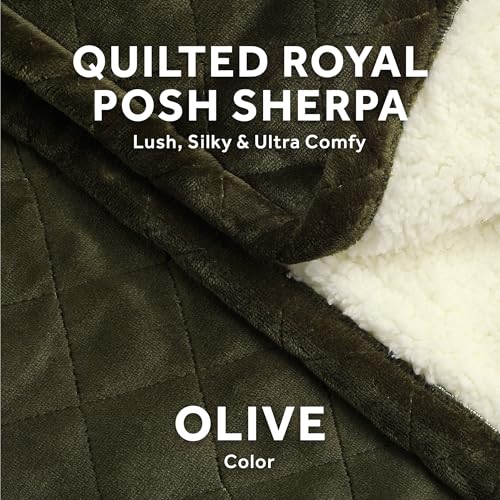Sunbeam Warm and Cozy Electric Blanket for Couch and Bed, 50" x 60", 4 Heat Settings